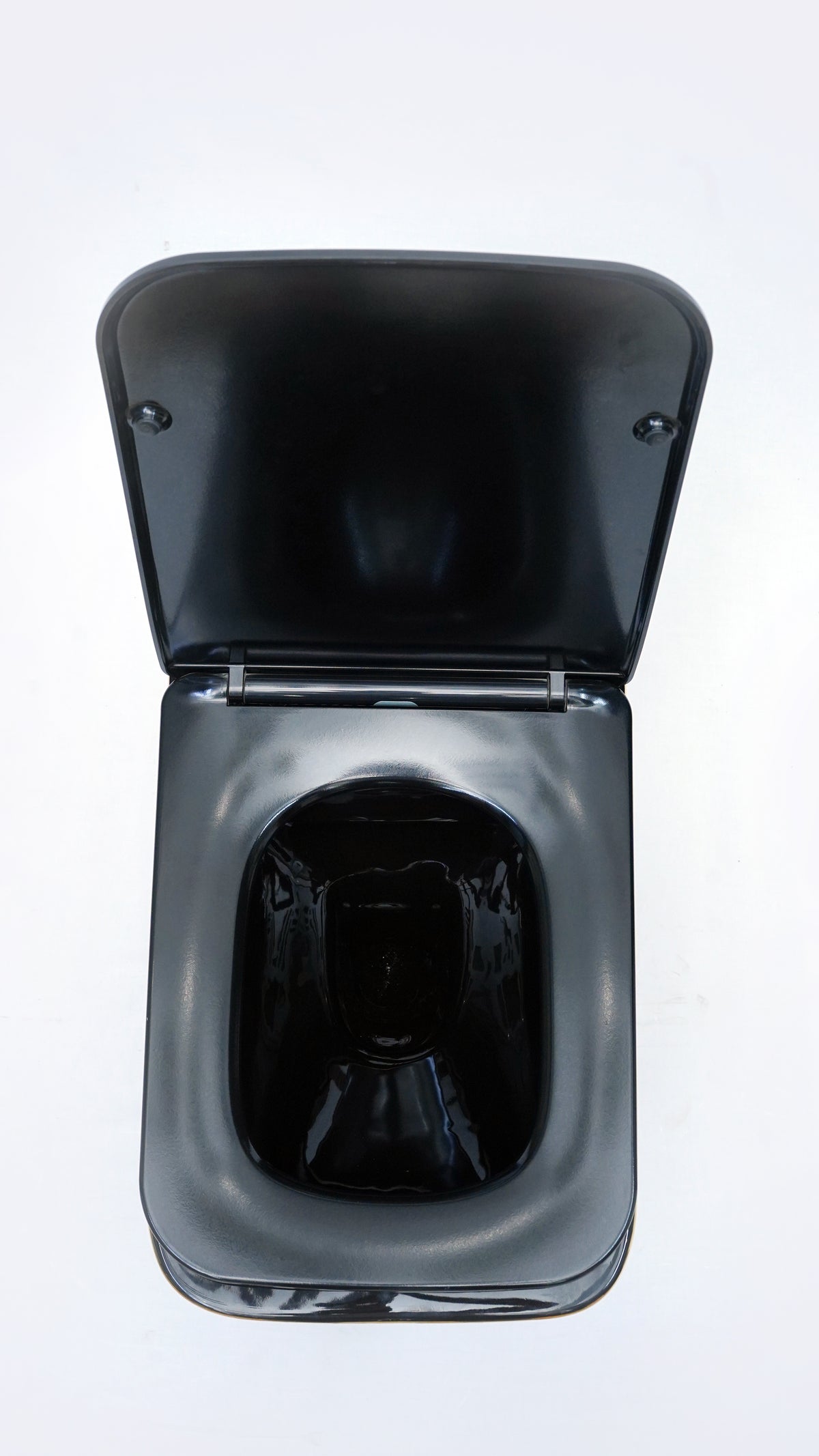 Fwh-503 Wall Hung Toilet Fancy
