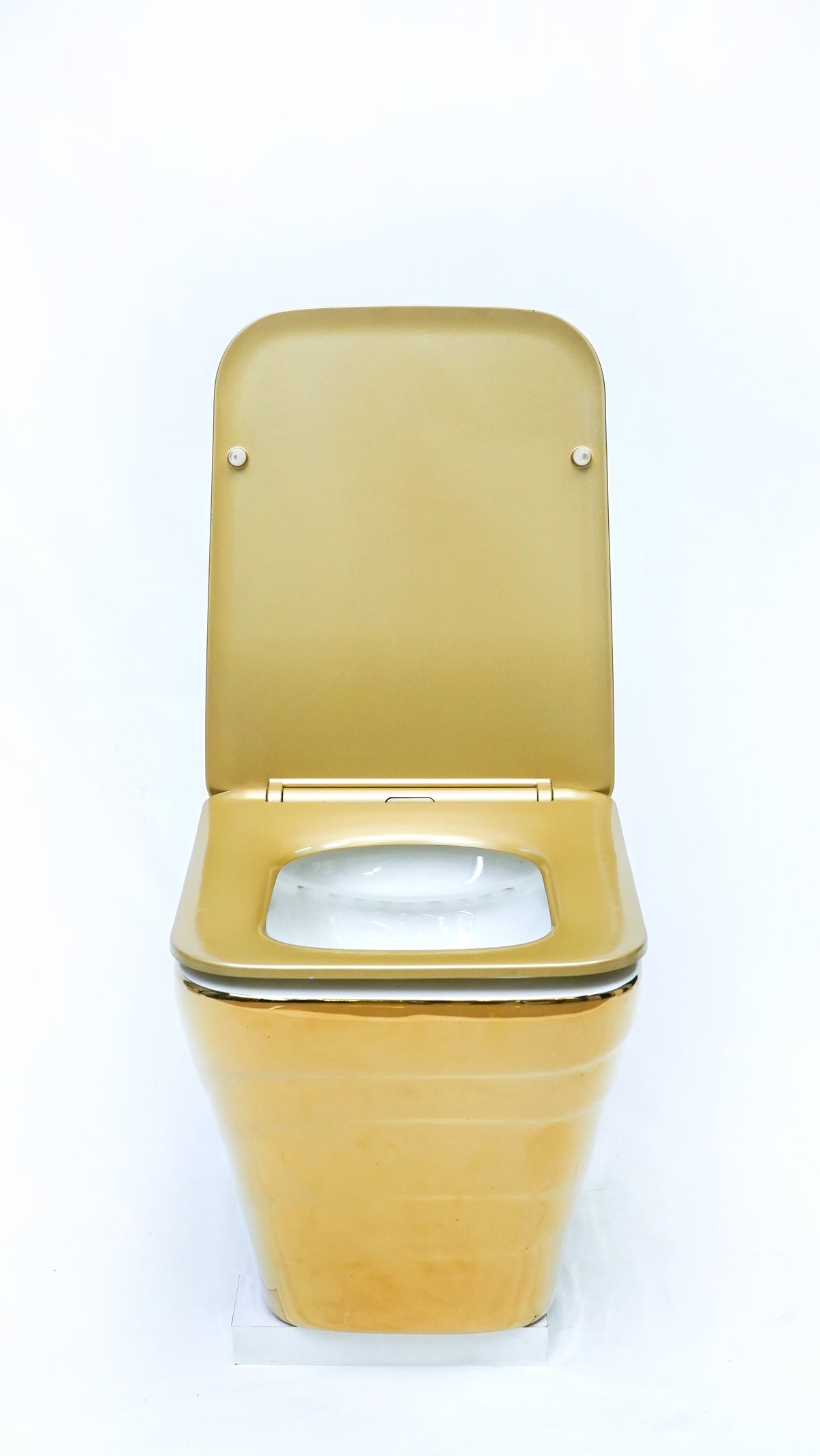 Fwh-504 Wall Hung Toilet Fancy