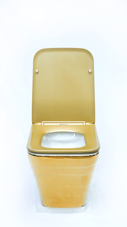 Fwh-504 Wall Hung Toilet Fancy