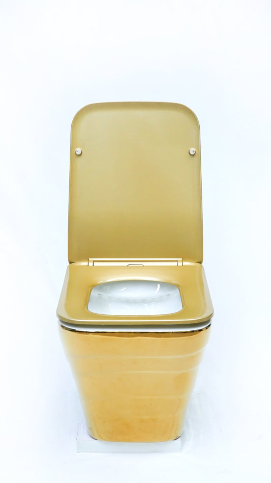 Fwh-504 Wall Hung Toilet Fancy